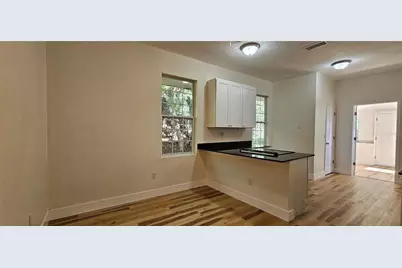 709 S Highland Street, Mount Dora, FL 32757 - Photo 15