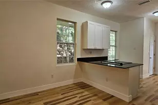 709 S Highland St, Mount Dora, FL 32757 - Photo 15