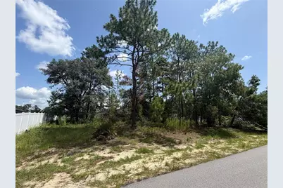 Tbd SW 63rd Terrace, Ocala, FL 34473 - Photo 3