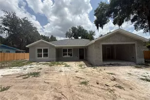 557 County Road 487, Lake Panasoffkee, FL 33538 - Photo 1