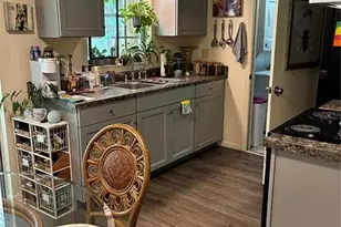 142 S Simpson St, Mount Dora, FL 32757 - Photo 5