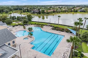 8732 Providence Ct, Mount Dora, FL 32757 - Photo 67