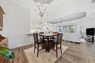 8732 Providence Ct, Mount Dora, FL 32757 - Photo 11