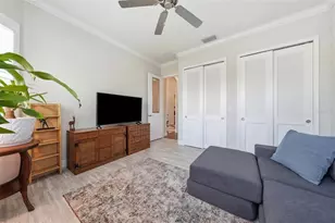 8732 Providence Ct, Mount Dora, FL 32757 - Photo 35