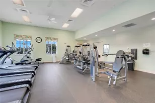 8732 Providence Ct, Mount Dora, FL 32757 - Photo 61