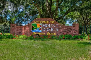 418 E 10th Ave, Mount Dora, FL 32757 - Photo 61