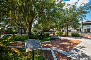 418 E 10th Ave, Mount Dora, FL 32757 - Photo 57