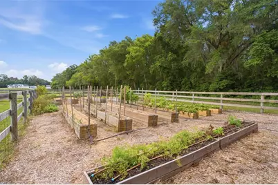 16241 SE 150th Avenue, Weirsdale, FL 32195 - Photo 59