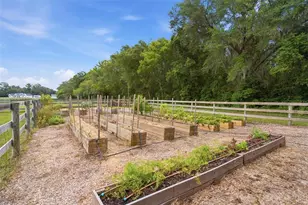 16241 SE 150th Ave, Weirsdale, FL 32195 - Photo 59