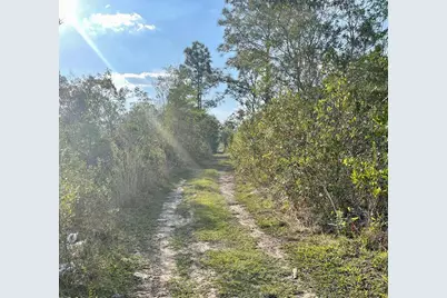 Topeka Avenue, Saint Cloud, FL 34773 - Photo 1