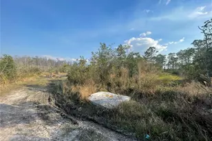 Topeka Ave, Saint Cloud, FL 34773 - Photo 1