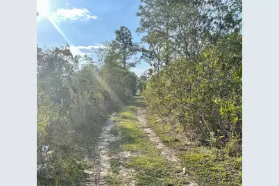 Topeka Avenue, Saint Cloud, FL 34773 - Photo 3