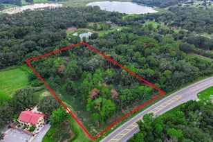 County Road 48, Yalaha, FL 34797 - Photo 1