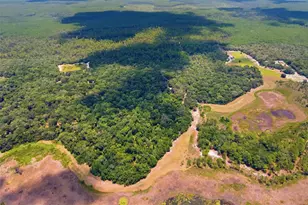 0 Forest 02 #1 SE 150th St, Umatilla, FL 32784 - Photo 15