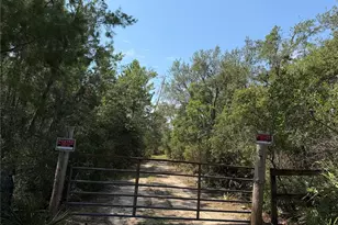0 Forest 02 #1 SE 150th St, Umatilla, FL 32784 - Photo 41