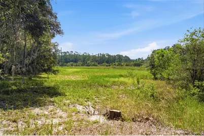 0 Forest 02, #1, SE 150th Street, Umatilla, FL 32784 - Photo 33