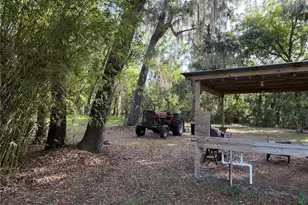 0 Forest 02 #1 SE 150th St, Umatilla, FL 32784 - Photo 35