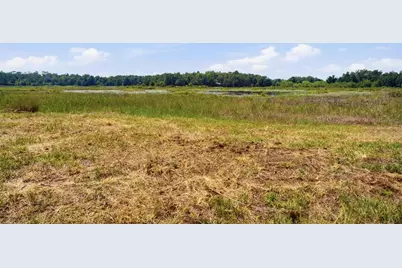 0 Forest 02, #1, SE 150th Street, Umatilla, FL 32784 - Photo 37