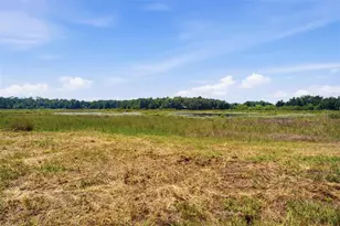 0 Forest 02 #1 SE 150th St, Umatilla, FL 32784 - Photo 37