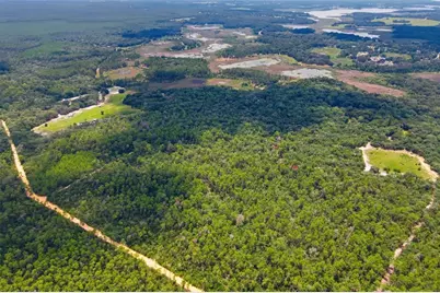 0 Forest 02, #1, SE 150th Street, Umatilla, FL 32784 - Photo 9