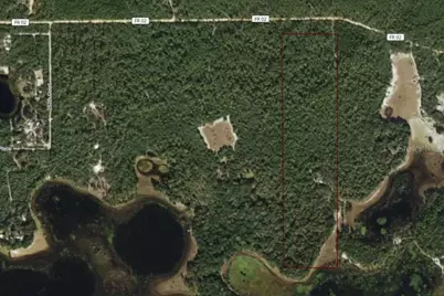 0 Forest 02, #1, SE 150th Street, Umatilla, FL 32784 - Photo 11