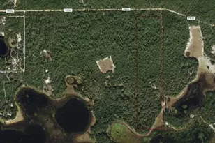 0 Forest 02 #1 SE 150th St, Umatilla, FL 32784 - Photo 11