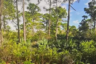 5550 Tree Top TR, Fort Pierce, FL 34951 - Photo 1