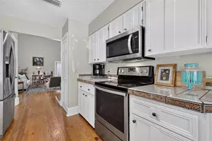 2662 McDonald Terrace, Mount Dora, FL 32757 - Photo 11