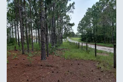 14240 Lost Lake Road, Clermont, FL 34711 - Photo 21