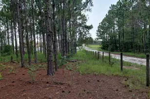 14240 Lost Lake Rd, Clermont, FL 34711 - Photo 21