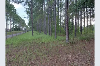 14240 Lost Lake Road, Clermont, FL 34711 - Photo 7