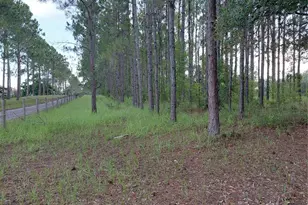14240 Lost Lake Rd, Clermont, FL 34711 - Photo 7