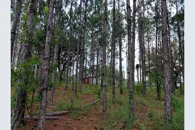 14240 Lost Lake Road, Clermont, FL 34711 - Photo 15