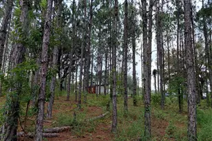 14240 Lost Lake Rd, Clermont, FL 34711 - Photo 15