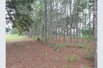 14240 Lost Lake Road, Clermont, FL 34711 - Photo 23