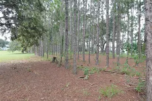 14240 Lost Lake Rd, Clermont, FL 34711 - Photo 23
