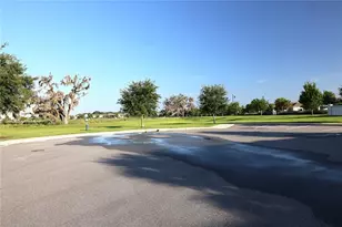 5323 Loblolly Ln, Wildwood, FL 34785 - Photo 49