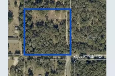 10681 Goose Prairie Road, Leesburg, FL 34788 - Photo 1
