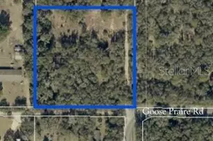 10681 Goose Prairie Rd Rd, Leesburg, FL 34788 - Photo 1