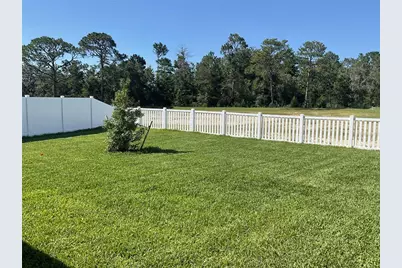 3802 Benham Rise Road, Spring Hill, FL 34609 - Photo 3