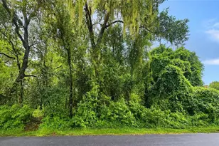 6034 E Sage St, Inverness, FL 34452 - Photo 1