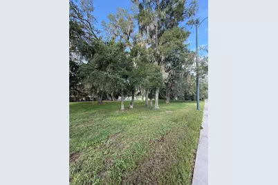 1130 McNamee St Hwy 441 Highway, Leesburg, FL 34748 - Photo 3