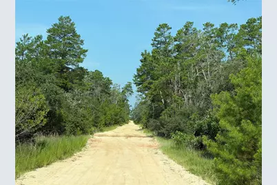 0 SE 150th Forest 02, #3,  SE 150th Street, Umatilla, FL 32784 - Photo 3