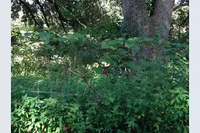 0 SE 150th Forest 02, #3,  SE 150th Street, Umatilla, FL 32784 - Photo 23