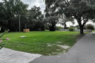 37351 Carringer Rd, Dade City, FL 33523 - Photo 19