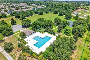 3115 Zander Dr, Grand Island, FL 32735 - Photo 39