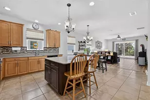 3115 Zander Dr, Grand Island, FL 32735 - Photo 9