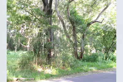St Clair Street, Wildwood, FL 34785 - Photo 3