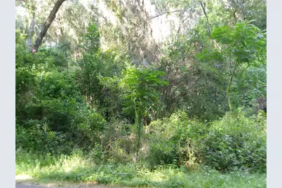 St Clair Street, Wildwood, FL 34785 - Photo 5