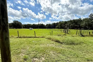 7589 Cr 763, Bushnell, FL 33513 - Photo 45